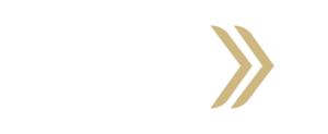 Logo Flexx